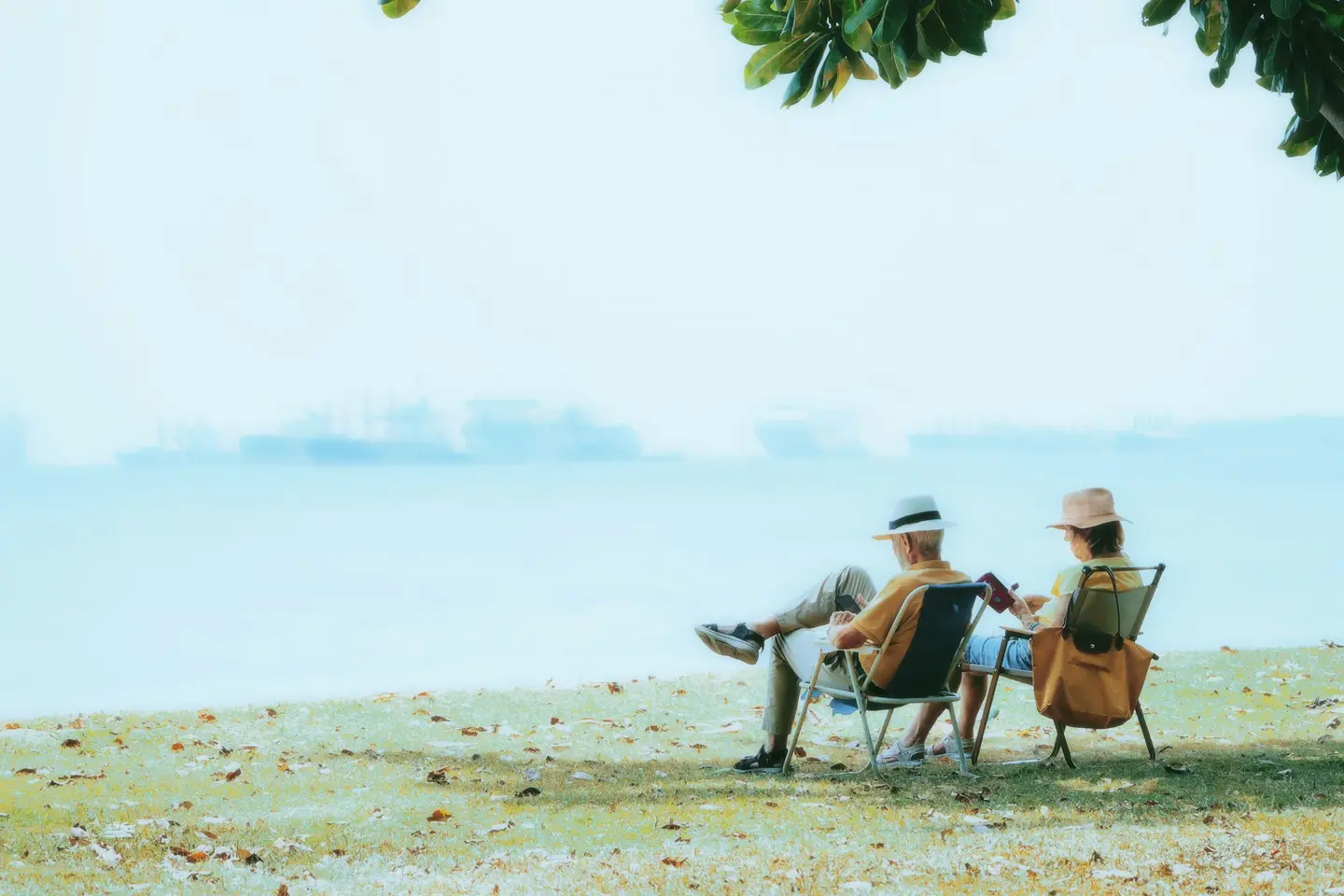 Retired Couple